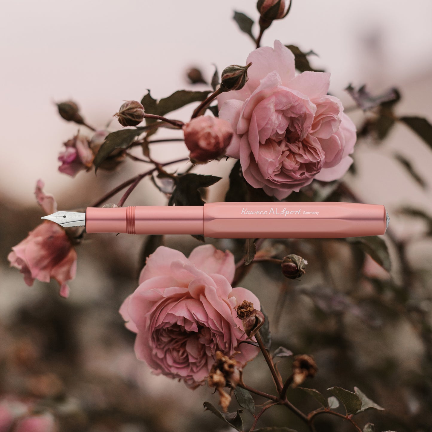 Kaweco AL SPORT Fountain Pen - Rose Gold