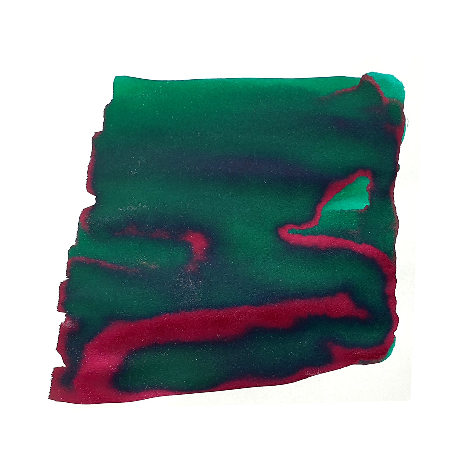 Van Dieman’s Sea Turtle - High Saturation Fountain Pen Ink